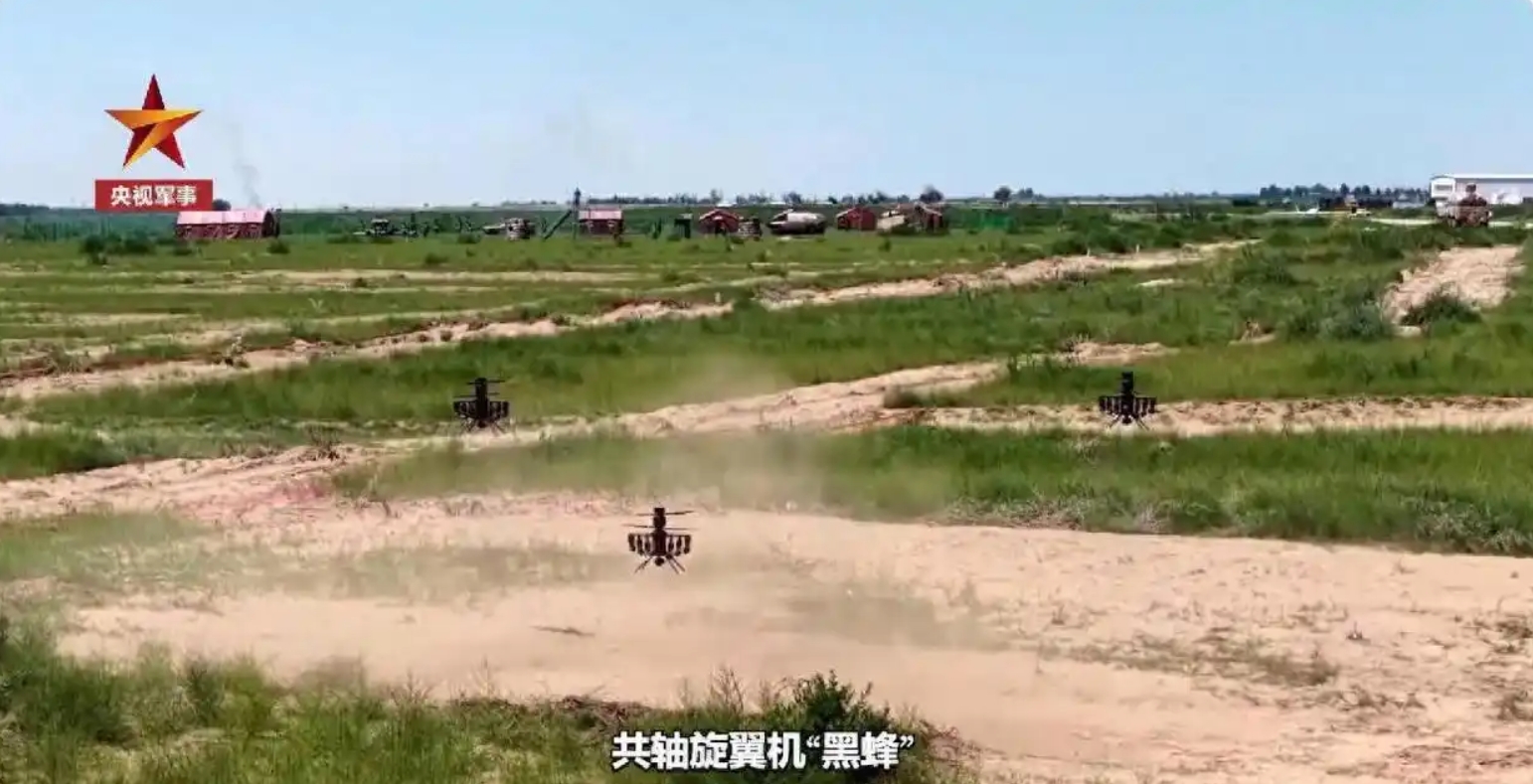 Black Bee drone swarm in coordinated attack